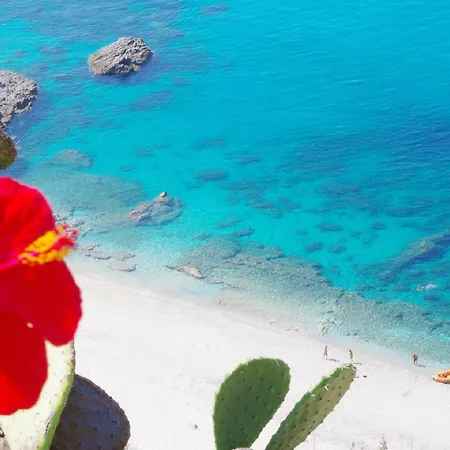 Capovaticano Διαμέρισμα Capo Vaticano